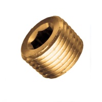 COUNTER SUNK PLUG-1 TPS